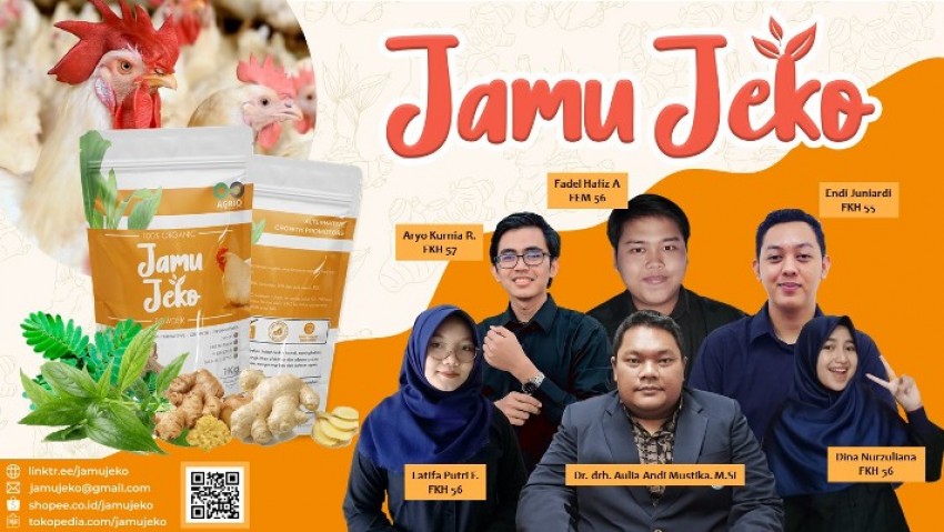 Jamu JEKO untuk Ayam Broiler Ciptaan Mahasiwa IPB