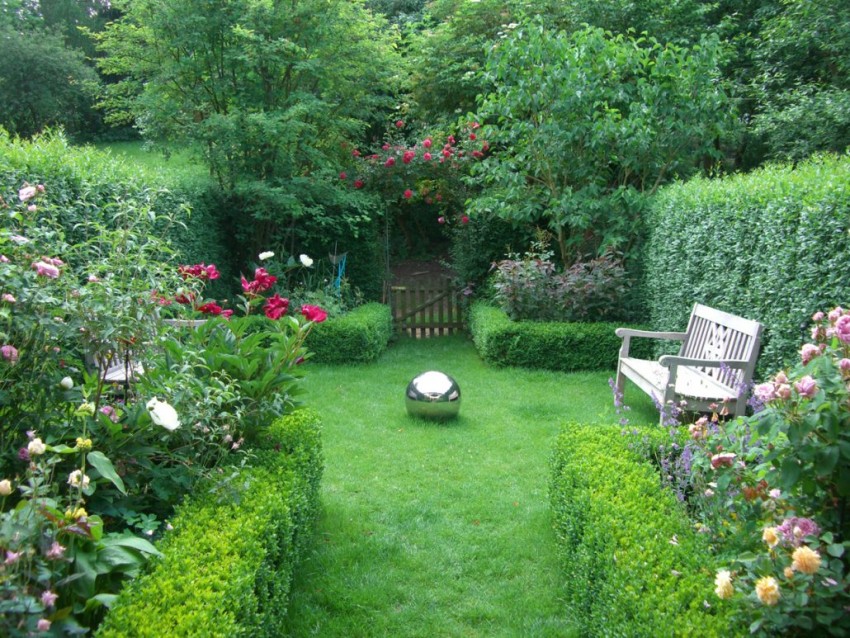 Estetis dan Bermanfaat, Ini 5 Jenis Tanaman yang Cocok untuk Pagar Rumah