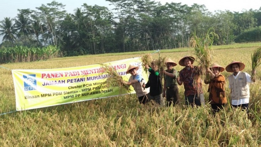 Ikhtiar Jamaah Tani Muhammadiyah Wujudkan Pertanian Hijau