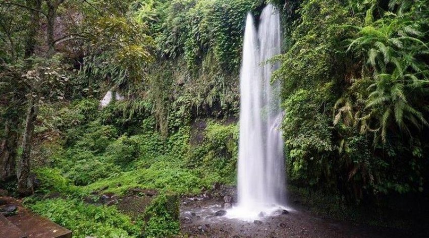 Pesona Desa Wisata Senaru di Kaki Gunung Rinjani