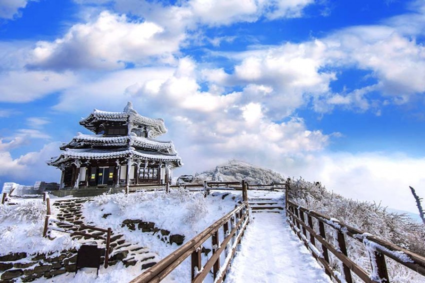 Tips Liburan Saat Musim Dingin di Korea