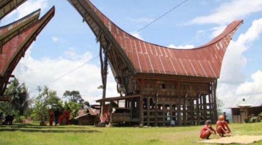 Pesona Desa Wisata Kole Sawangan, Penghasil Kopi Sadoko Toraja