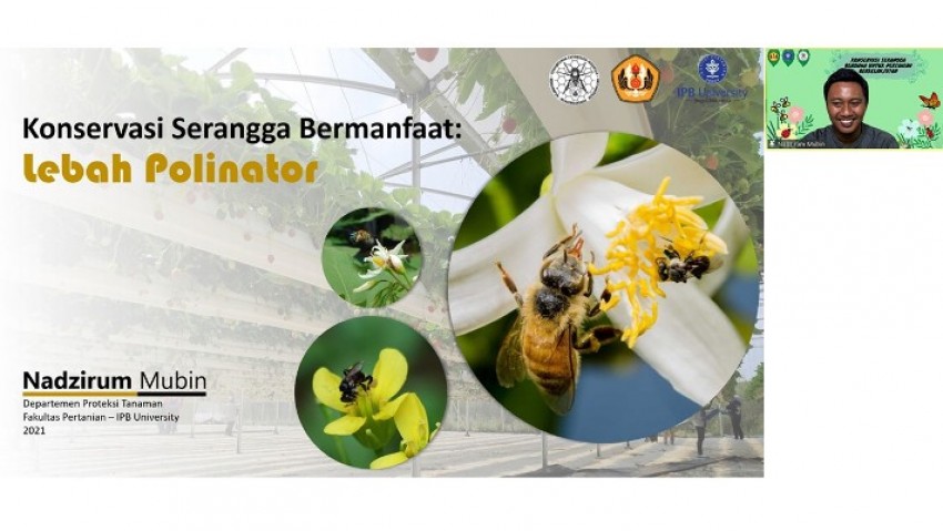 Nadzirum Mubin, Ahli Lebah IPB University