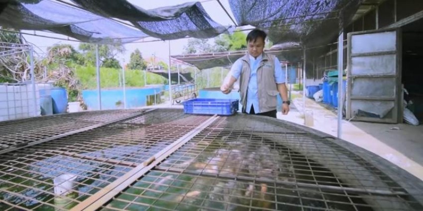 Hasilkan Rupiah Sekaligus Atasi Masalah Sampah Organik