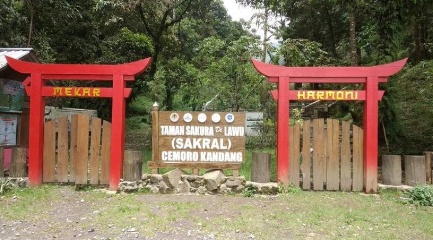 Taman Sakura Lawu, Wisata Perhutani Berkonsep Alam