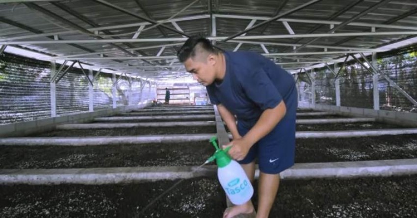 Tips Memulai Usaha Budi Daya Cacing Tanah