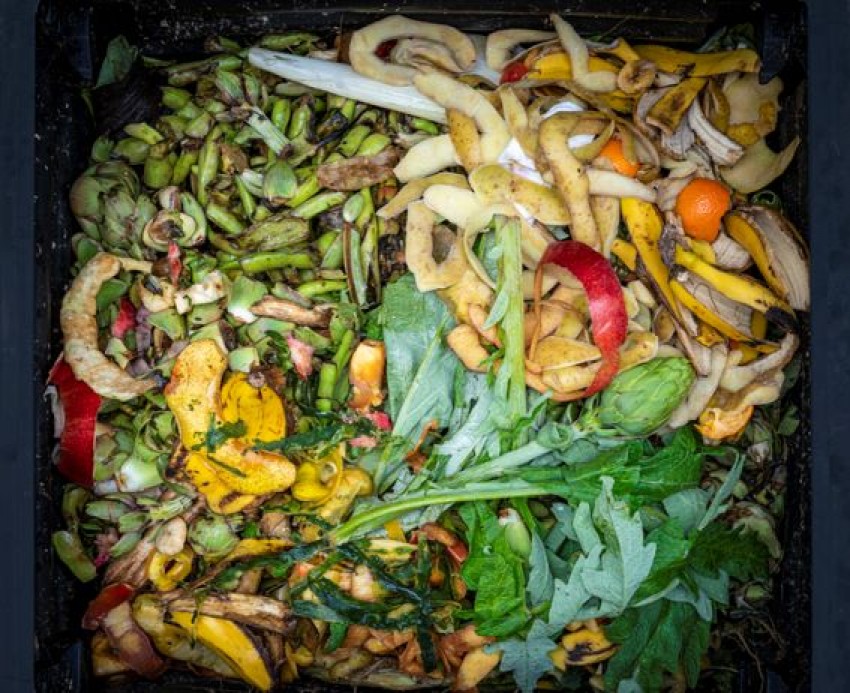 Ubah Gaya Hidup dengan Dukung Pola Makan Berkelanjutan