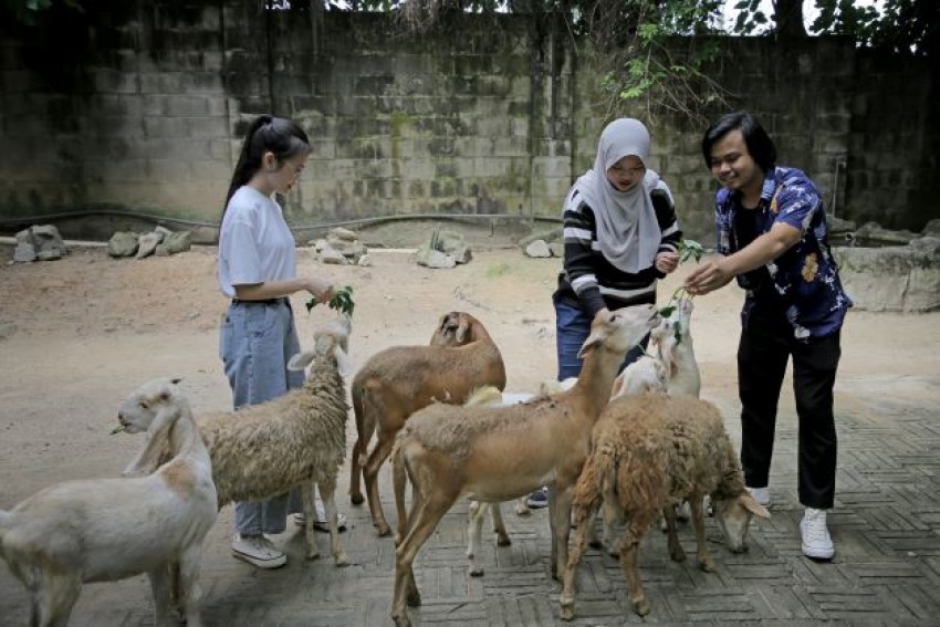 Anjuran Berbuat Ihsan Terhadap Hewan dan Pahalanya