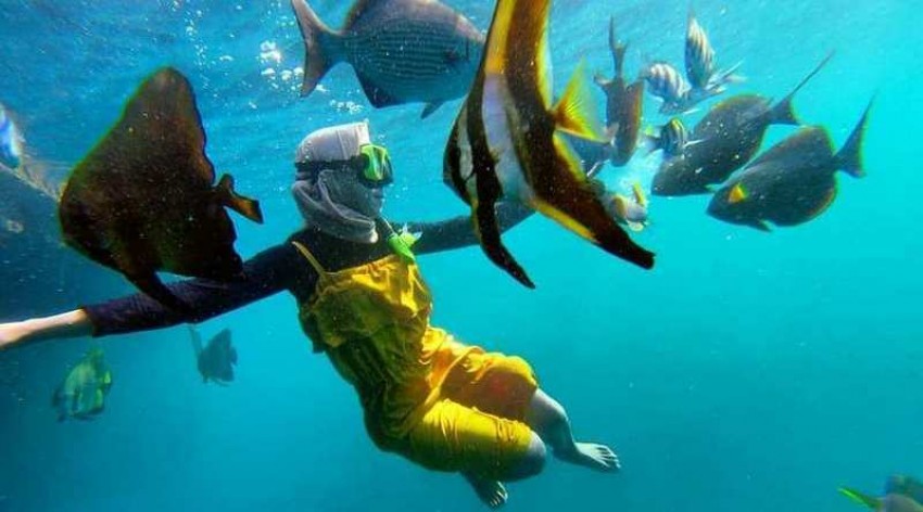 Wisata Rumah Apung Bangsring, Sensasi Berenang Bersama Babyshark