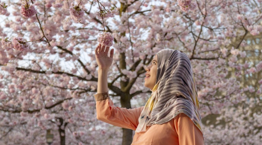 Ini 7 Pantangan Bagi Traveller saat Berlibur ke Jepang