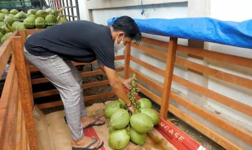 Pakai Modal Nikah, Kini Sukses Lewat Usaha Kelapa Muda