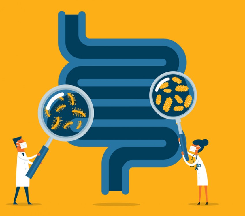 Rawat Sistem Pencernaan di Masa Pandemi, Ikhtiar untuk Jaga Imunitas Tubuh