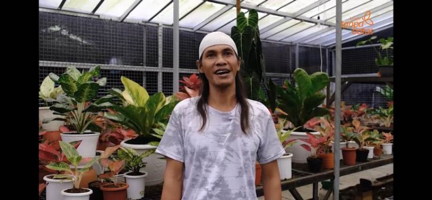 Hidup Mantan Kuli Bangunan Ini Berubah Drastis Berkat Tanaman Hias