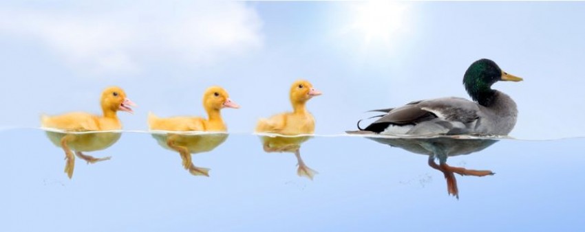 Awas Duck Syndrome, Terlihat Bahagia tapi Sebenarnya Tertekan