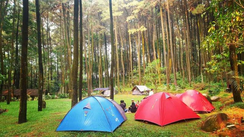 3 Glamping di Bogor, Camping Mewah yang Menyatu dengan Alam