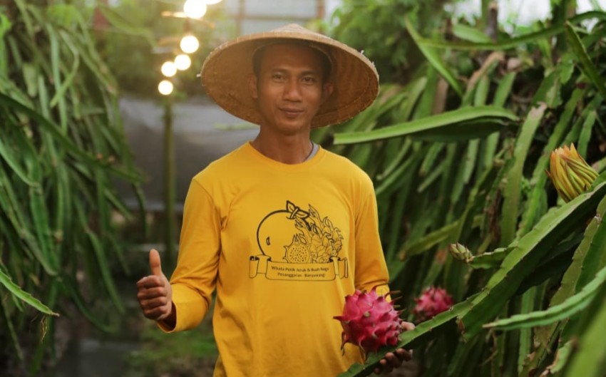 Petani Banyuwangi Raup Omzet Ratusan Juta Berkat Listrik PLN