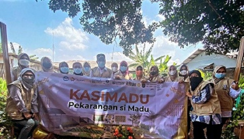 Segudang Manfaat dari Pekarangan Si Madu Garapan IPB University