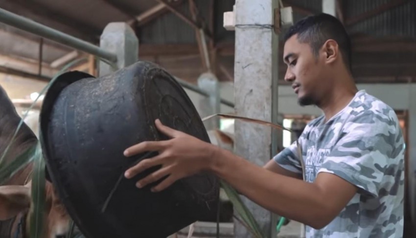 Pilih Peternakan, Milenial Ini Justru Sukses Kembangkan Usaha