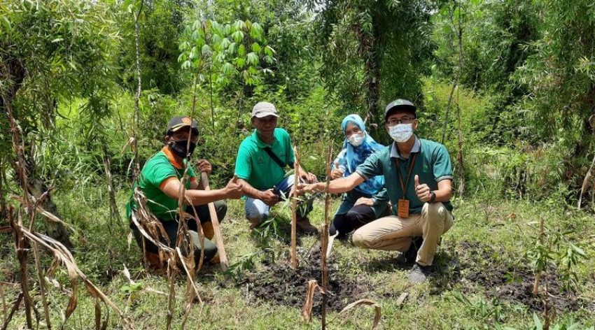Perhutani Bagikan Bibit Gratis untuk Masyarakat Wonogiri
