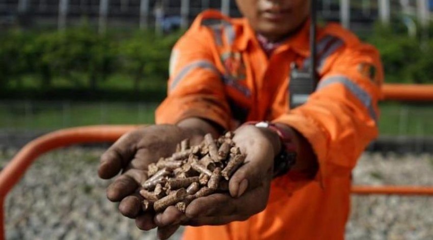 Tekan Emisi Lewat Co-Firing, PLN Hasilkan Listrik Hijau 96 Ribu MWh dari 28 PLTU