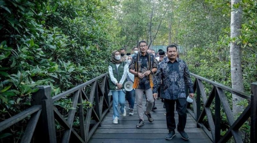 Uniknya Desa Wisata Cinta Raja,  Persinggahan Burung dari Berbagai Benua