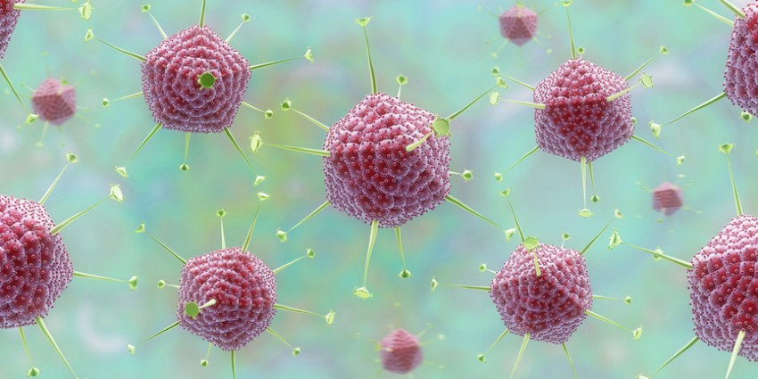 Mengenal Adenovirus, Terduga Penyebab Hepatitis Misterius
