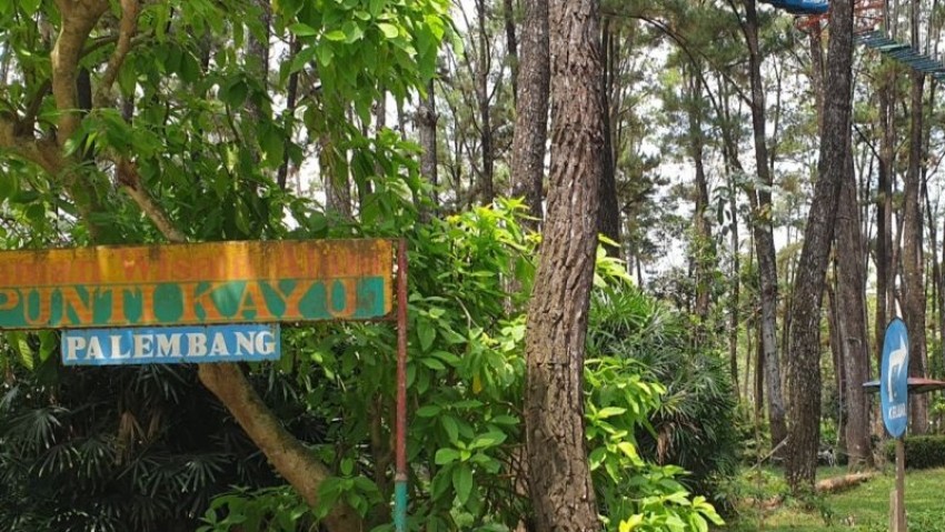 Objek Wisata Alam Punti Kayu Palembang Masih Ramai di Akhir Pekan