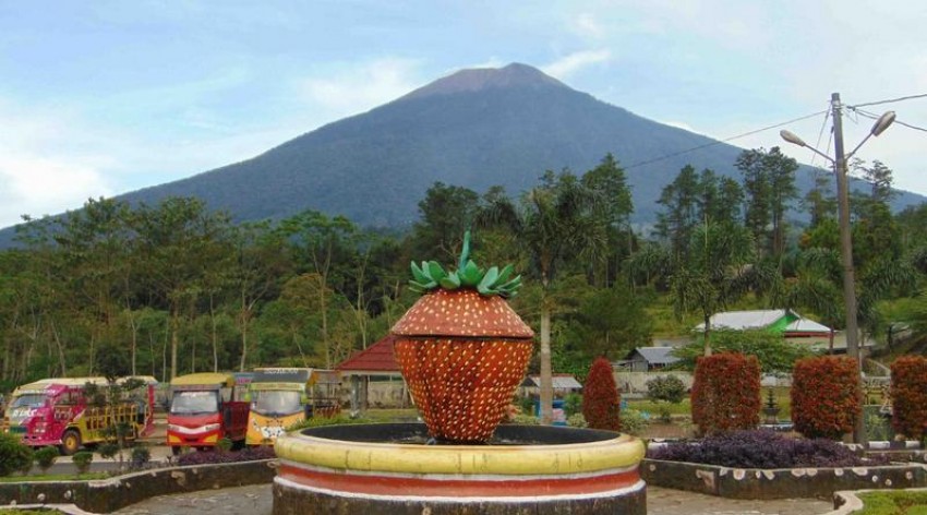 Lembah Asri Serang, Serunya Memetik Strowberi di Kaki Gunung Slamet