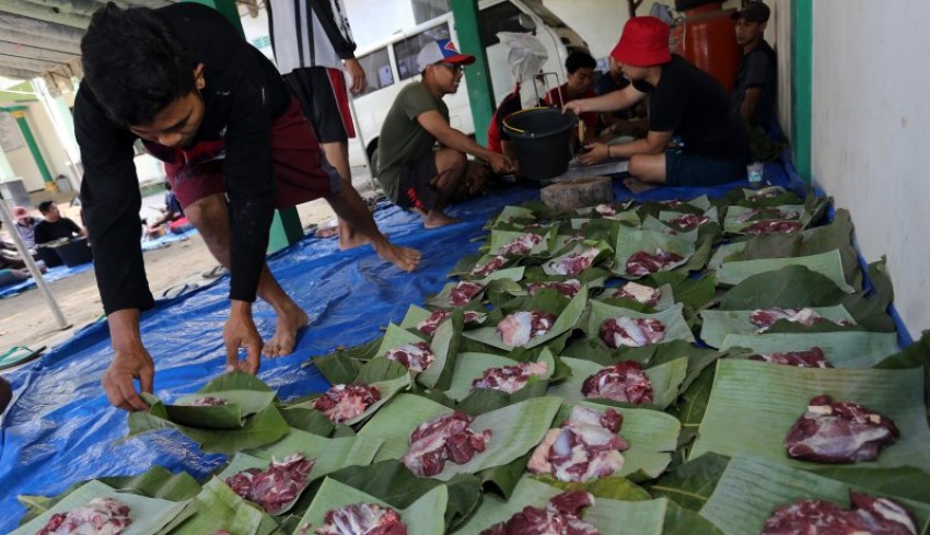 Hewan Kurban Terjangkit PMK, Bolehkah Dagingnya Dikonsumsi?