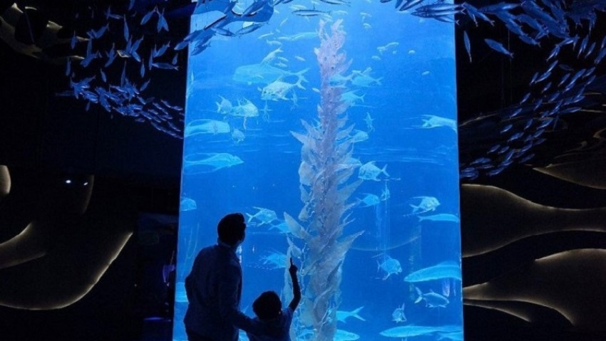 11 Objek Wisata di Jabodetabek yang Asyik saat Musim Hujan