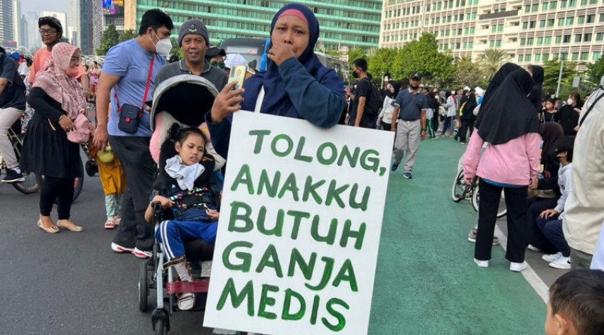 DPR RI Buka Peluang Wacana Legalisasi Ganja untuk Kesehatan