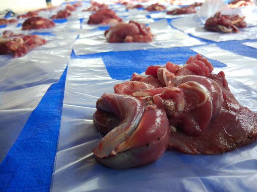 Bolehkah Pekurban Makan Daging Hewan Kurban Sendiri?