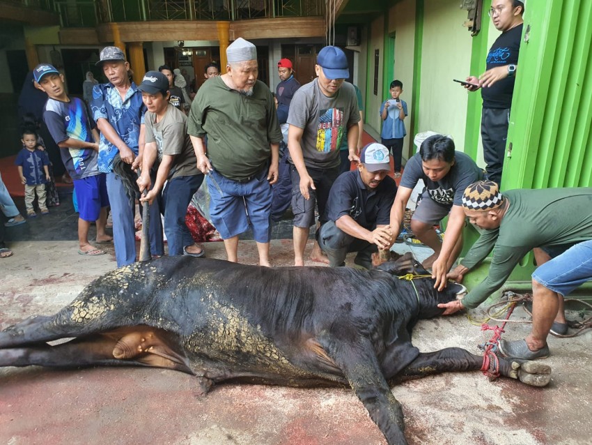 Perkuat Syiar, Ponpes Al Burdah Tebar 170 Kupon Daging Kurban
