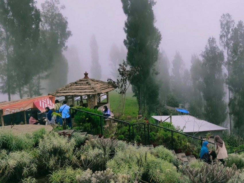 Taman Edelweiss, Destinasi Wisata Edukasi Budidaya Tanaman Langka