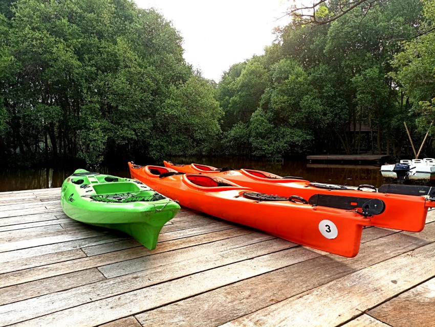 Sempat Ditolak Warga, Taman Wisata Mangrove Kini Ramai Dikunjungi
