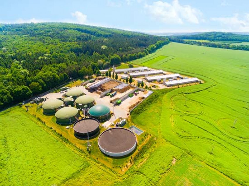 Energi Fosil Semakin Terbatas, Teknologi Biomassa Jadi Alternatif Terbaik