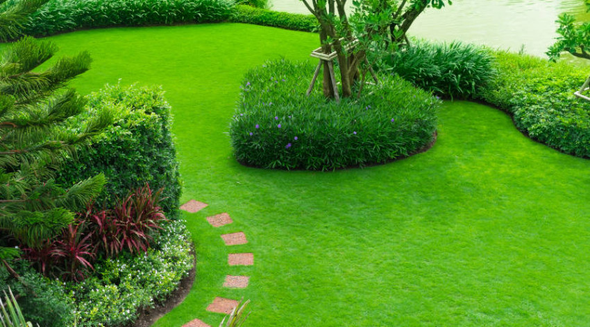 Tips Memelihara Taman Rumah agar Tetap Indah dan Sedap Dipandang