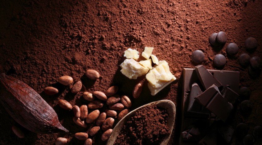 Studi: Cokelat Hitam Baik untuk Kesehatan Jantung