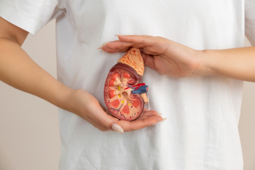 Hati-Hati Terkena Ginjal Kronis Stadium 5 Meski Tak Ada Gejala