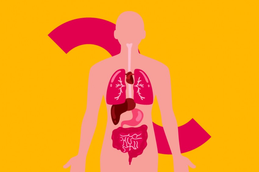 Kerennya Puasa Ramadhan, Beri Banyak Manfaat untuk Kesehatan