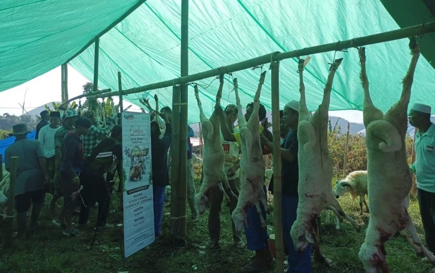 Mengintip Kebahagiaan Penyintas Gempa Cianjur Terima Hewan Kurban