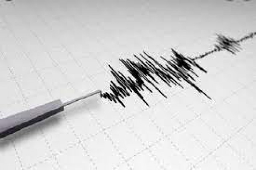 Gempa Bumi M4,6 Getarkan Wilayah Maluku Tenggara Barat