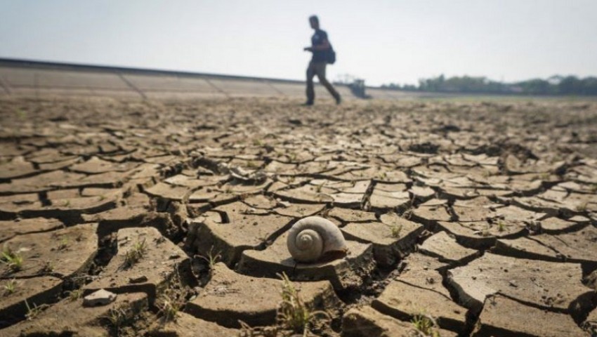 Dampak El Nino, 6 Provinsi Diprediksi Alami Kekeringan