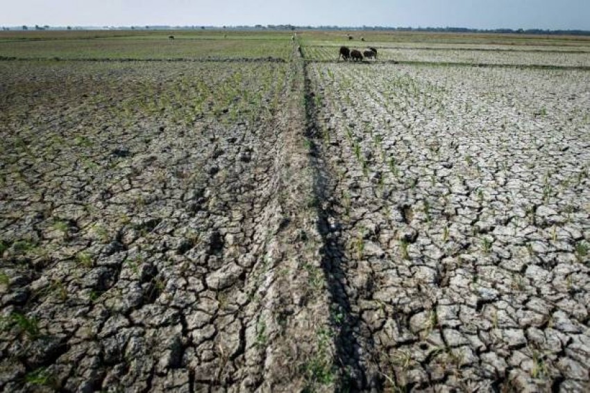 BMKG Prediksi Puncak El Nino Bertahan hingga Akhir Oktober