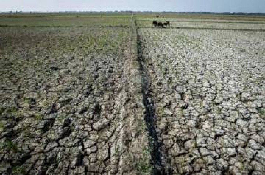 Kepala BMKG: Perubahan Iklim Picu Bencana Hidrometeorologi