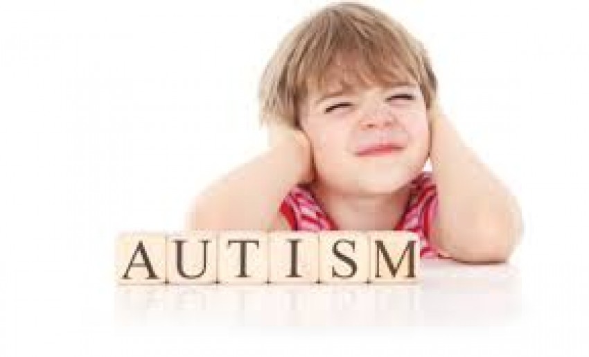 Autisme Bukan Penyakit, Simak Penjelasan Psikolog Sekolah Cikal