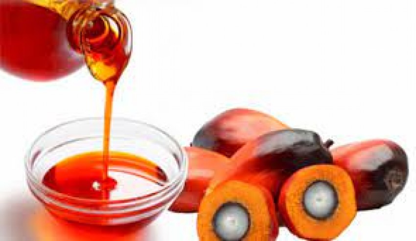 Ahli Gizi Unair Ungkap Keunggulan Nutrisi dalam Minyak Makan Merah
