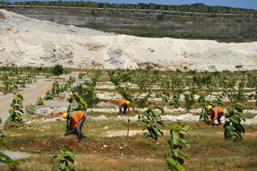 Hari Hutan Internasional, SIG Tanam 500 Ribu Pohon di Lahan Pascatambang Pabrik Tuban