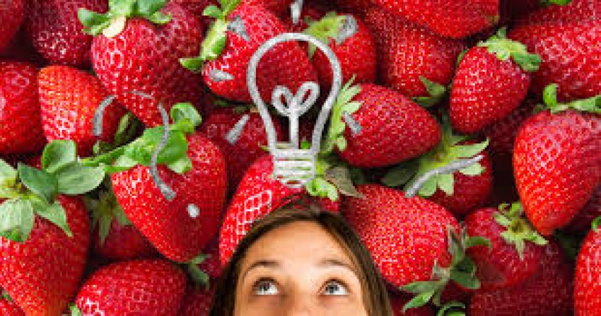 Hindari Pola Asuh Strawberry Parents Agar Anak Tangguh