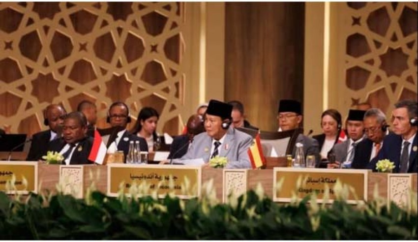 Mewakili Presiden, Prabowo Sampaikan 4 Komitmen Bantuan untuk Rakyat Palestina